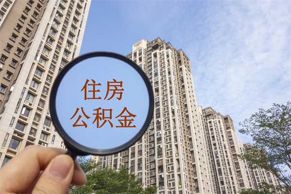 公积金还看征信吗吗_黑河公积金代办在职离职封存服务